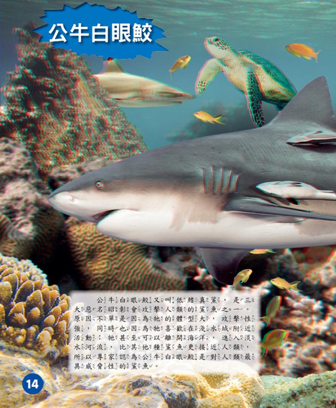 海底探奇‧鯊魚突襲